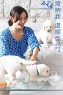 盧廖碧珊