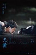 陳如風