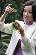 沈麗萍