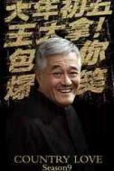 王大拿