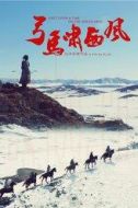 沈馳