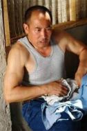 楊樹根