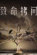 楊紹群
