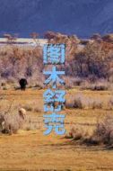 胡靈靈
