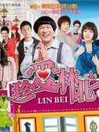 珍愛林北劇情介紹(1-11全集)