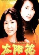 太陽花臺(tái)灣版劇情介紹(1-23全集)