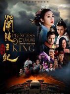 蘭陵王妃劇情介紹(1-47全集)