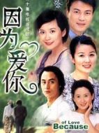 因?yàn)閻勰銊∏榻榻B(1-12全集)