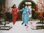 婉君劇情介紹(1-18全集)
