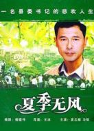 夏季無風劇情介紹(1-20全集)