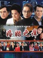 婚姻之癢劇情介紹(1-22全集)