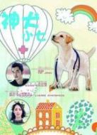 神犬小七未刪減版劇情介紹(1-45全集)