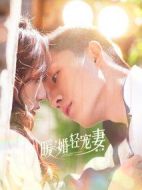暖婚輕寵妻第二季劇情介紹(1-25全集)