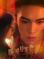 暖婚輕寵妻劇情介紹(1-25全集)