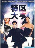 特區(qū)大亨劇情介紹(1-20全集)
