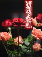 帶刺的玫瑰劇情介紹(1-21全集)