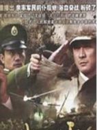 大帥風云錄劇情介紹(1-全集)