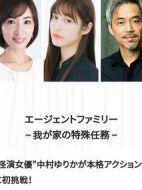 エージェントファミリー～我が家の特殊任務～劇情介紹(1-1全集)