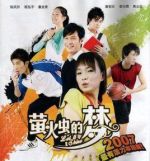 螢火蟲的夢(mèng)劇情介紹(1-20全集)