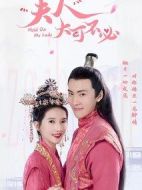 夫人大可不必劇情介紹(1-12全集)