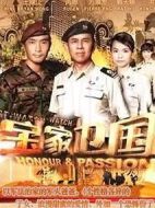 寶家衛國劇情介紹(1-20全集)