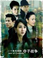 婦道之奪子戰爭劇情介紹(1-25全集)