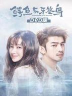 鱷魚與牙簽鳥 DVD版劇情介紹(1-50全集)