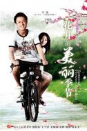 花開的美麗季節劇情介紹(1-24全集)
