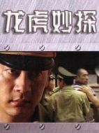 龍虎妙探劇情介紹(1-20全集)