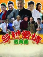 鄉村愛情變奏曲劇情介紹(1-50全集)