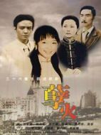 孽火劇情介紹(1-36全集)