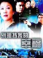 別阻擋我的幸福海報(bào)