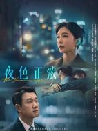 夜色正濃劇情介紹（1-24全集）大結局