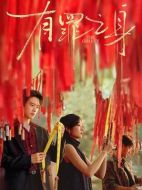 有罪之身劇情介紹（1-14全集）大結局