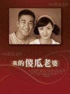 我的傻瓜老婆劇情介紹(1-20全集)