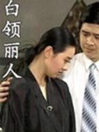 白領麗人劇情介紹(1-20全集)
