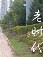 總有人盯上我劇情介紹(1-49全集)