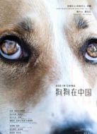 狗狗在中國劇情介紹(1-5全集)