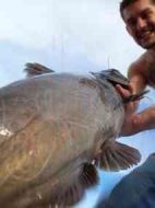 徒手捕魚殊死戰劇情介紹(1-10全集)