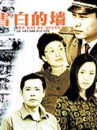 雪白的墻劇情介紹(1-21全集)