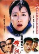 母親陳小藝版劇情介紹(1-29全集)