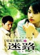 迷路劇情介紹(1-22全集)