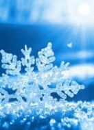 下雪吧！劇情介紹(1-1全集)