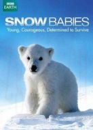 BBC：雪中幼崽海報