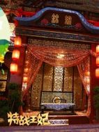 特戰王妃劇情介紹(1-20全集)