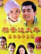 相親過(guò)大年劇情介紹(1-3全集)