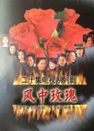 風中玫瑰劇情介紹(1-20全集)