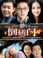新上門(mén)女婿劇情介紹(1-25全集)