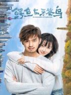 鱷魚與牙簽鳥[DVD版]劇情介紹(1-50全集)
