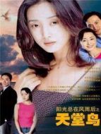 陽光總在風雨后Ⅰ天堂鳥劇情介紹(1-20全集)